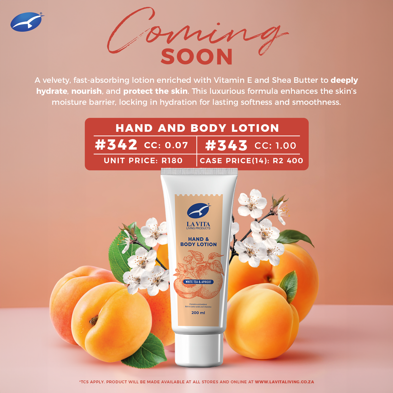 LVLP 1 Dec Hand & Body M (1).png